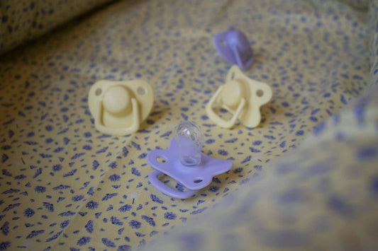 Filibabba - Schnuller 2er Pack - Fresh violet 6+ Monate