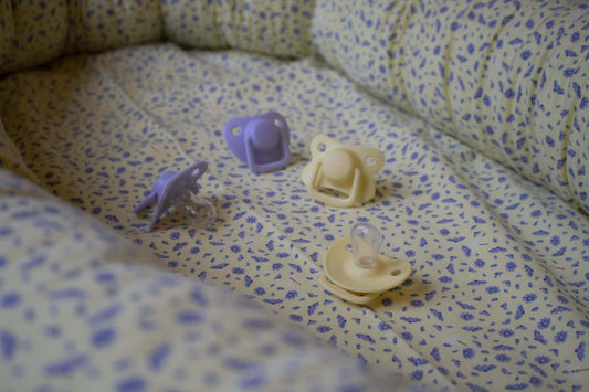 Filibabba - Schnuller 2er Pack - Fresh violet 0-6 Monate